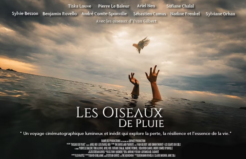 les-oiseaux-de-la-pluie-26581