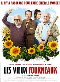 les-vieux-fourneaux-28541
