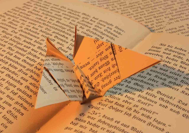 livre-13398