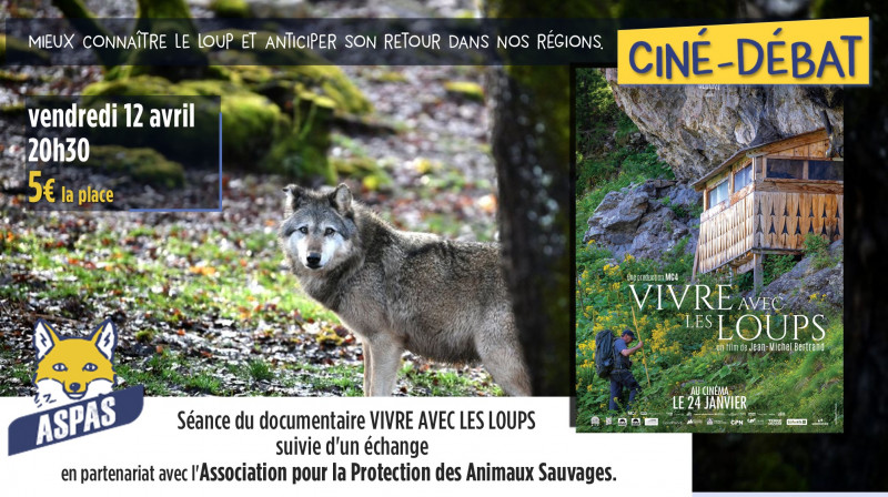 loups-cinedebat-carton-21830