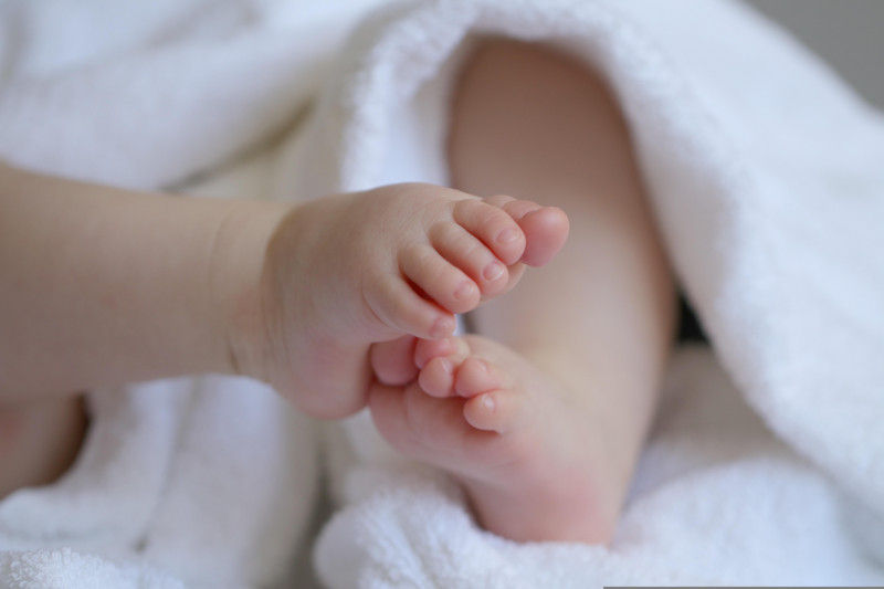 marjonhorn-baby-6823431-32974 marjonhorn-baby-6823431-32974