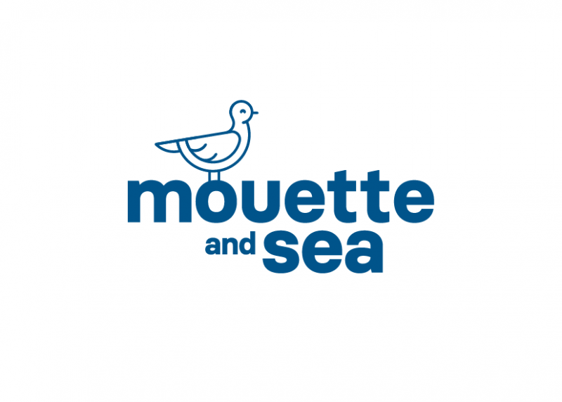 mouette-and-sea-st-nazaire-st-brevin-9599