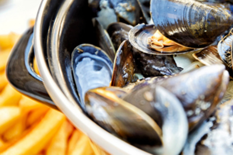 moules-frites-casino-23701