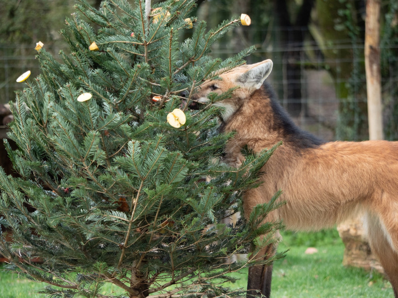 p1055900-29347 p1055900-29347