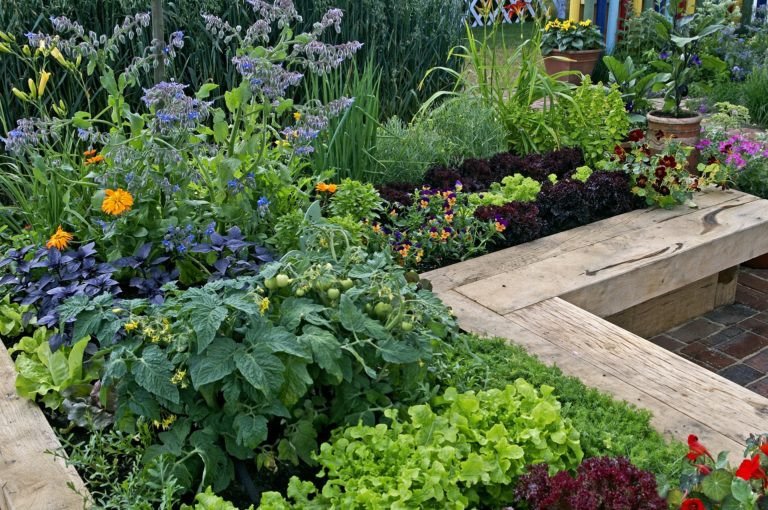 permaculture-18002