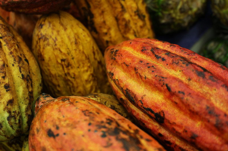 pexels-daniel-dan-47825192-7543116-32559 pexels-daniel-dan-47825192-7543116-32559