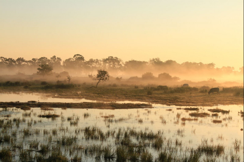 photo-4-paysage-rcfs-cochard-g-29785