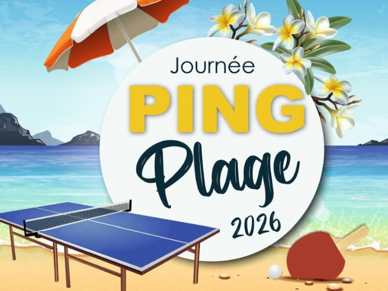 ping-plage-31831 ping-plage-31831