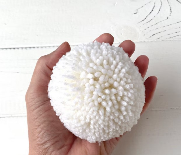 pompon2-25141