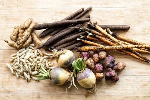 r117-legumes-racine-oublie-anciens-jbh-30306