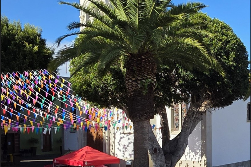 romeria-28893