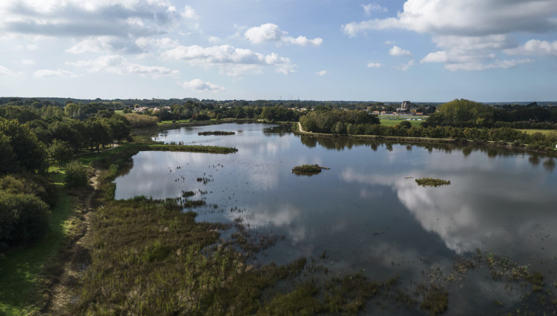 saintpereenretz-etanggrandfay-vueetang-bd-ddufour-2021-30210 - © Damien DUFOUR saintpereenretz-etanggrandfay-vueetang-bd-ddufour-2021-30210