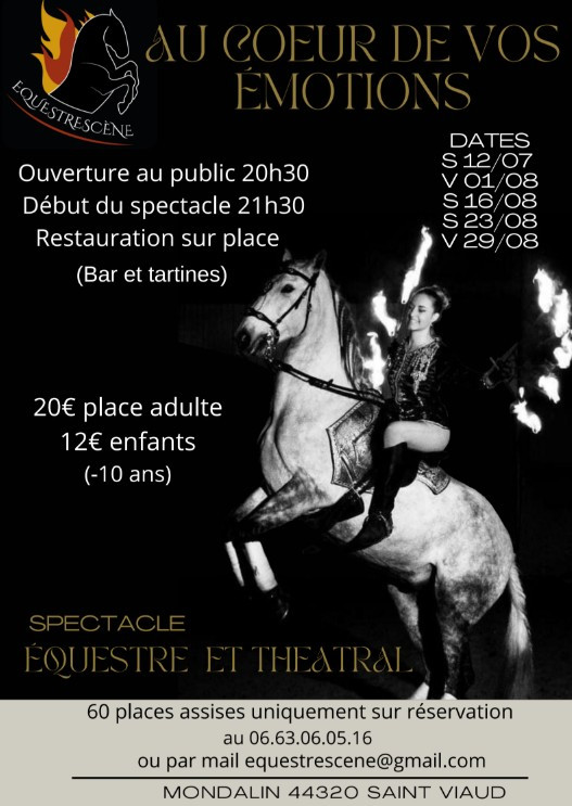 spectacle-equestre-mondalin-saint-viaud-26854