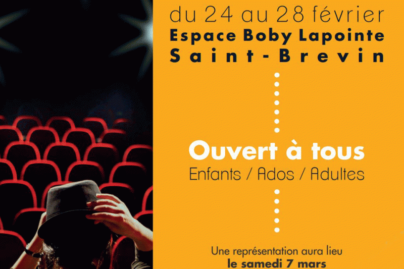 stage-theatre-24-28fevrier-saint-brevin-sonart-10208