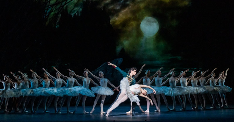 swan-lake-1200x628-3-11zon-32678 swan-lake-1200x628-3-11zon-32678