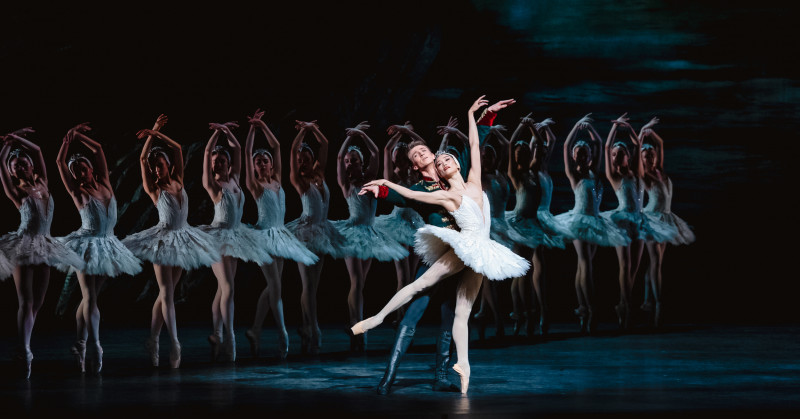 swan-lake-1200x628-7-11zon-32683 swan-lake-1200x628-7-11zon-32683