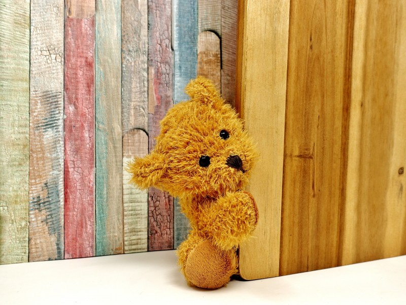 teddy-8883